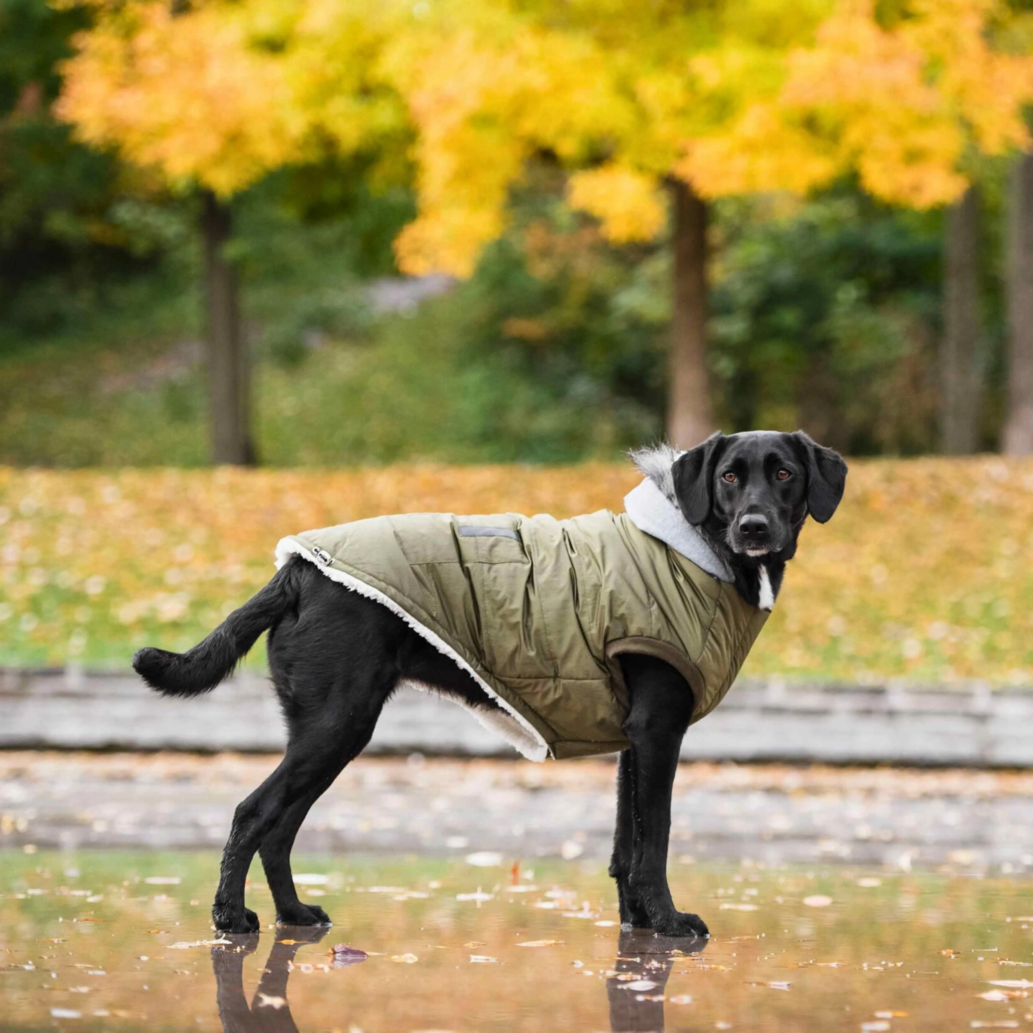 Brave Bark Thermal Parka - Khaki