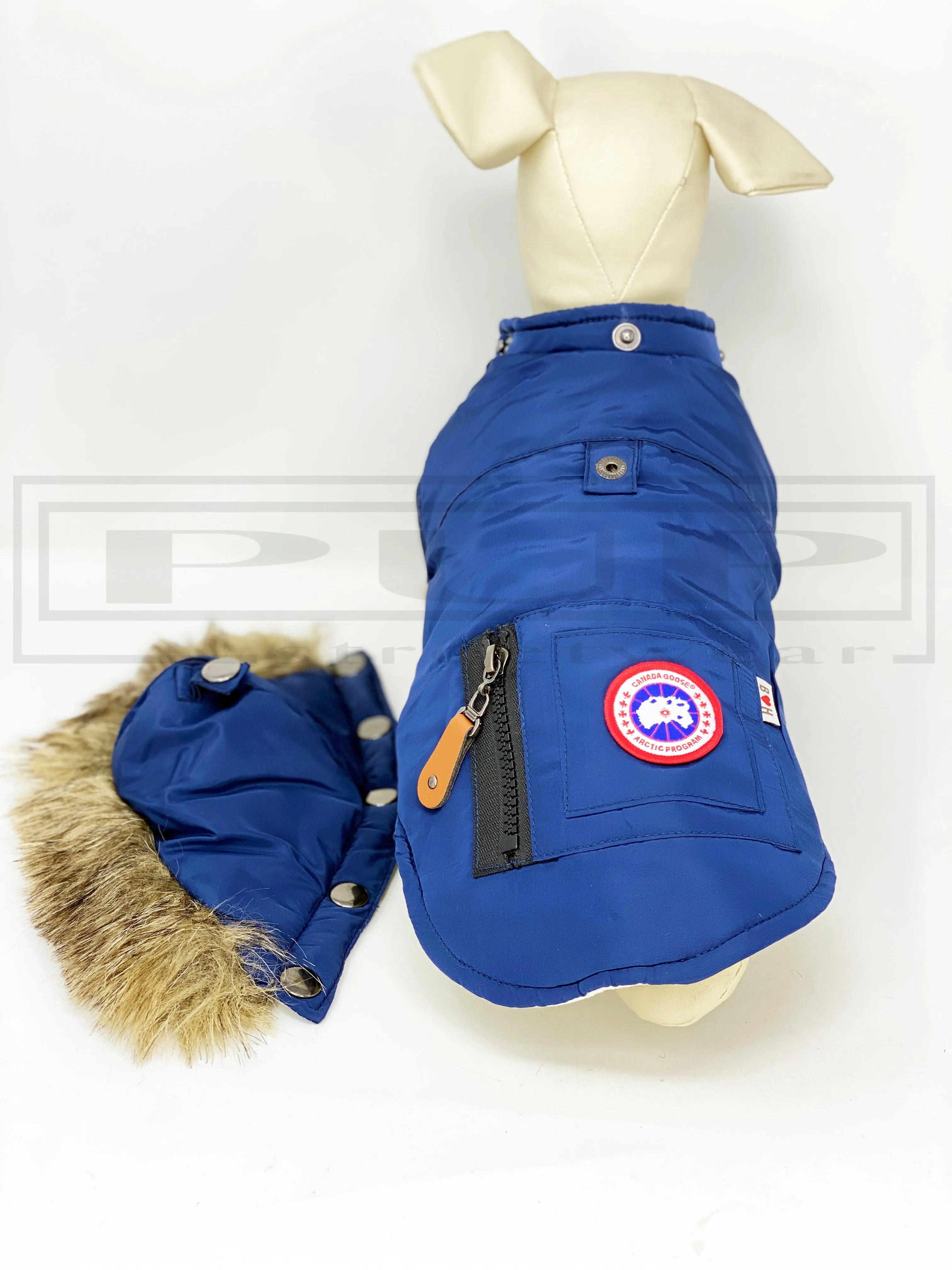 Canada Pup Logan Removable Hood Jacket Coat