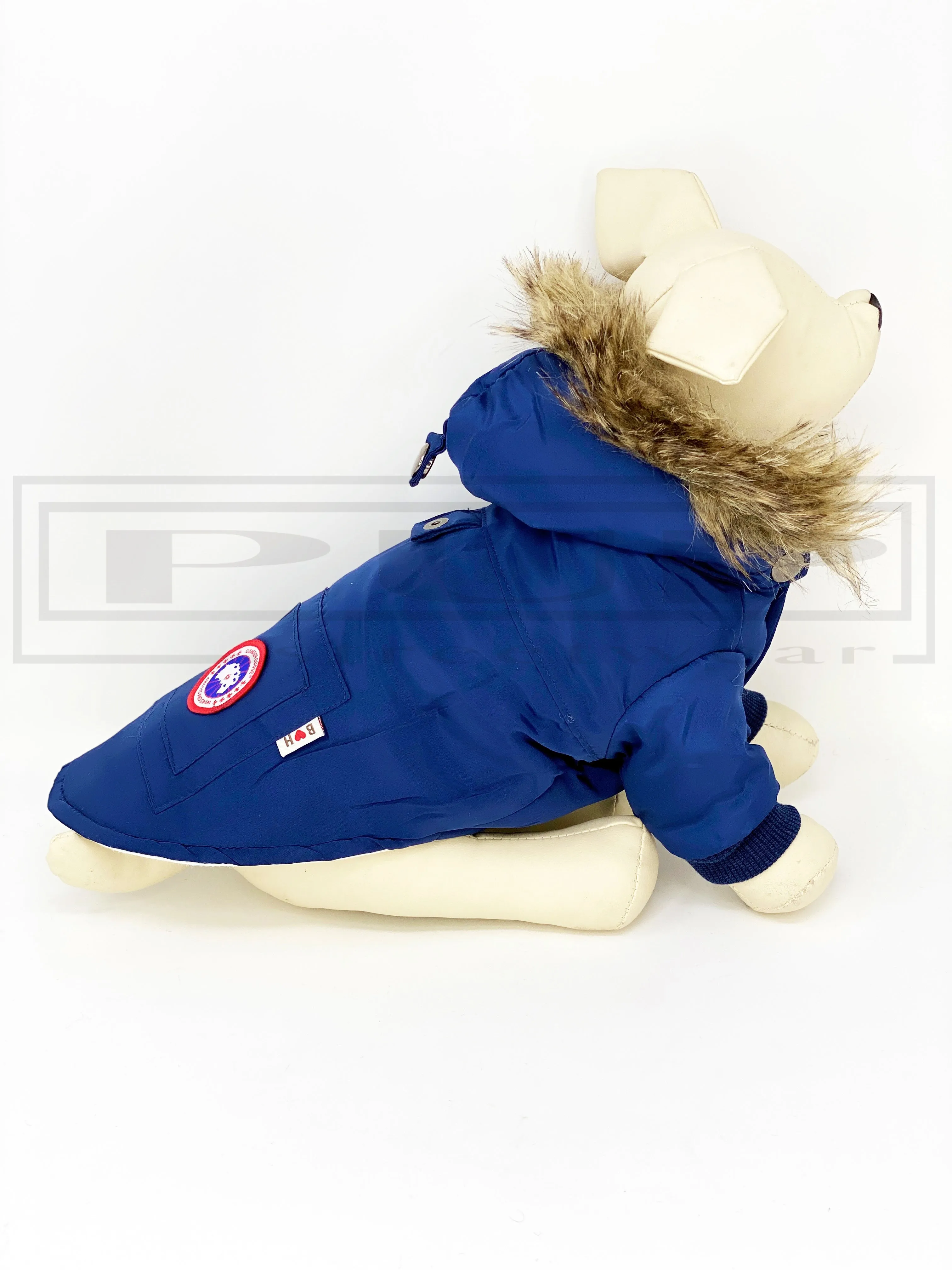 Canada Pup Logan Removable Hood Jacket Coat