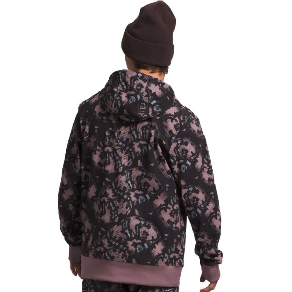 The North Face Tekno Snow Logo Hoodie